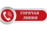 «Горячая линия» для педагогических работников, законных представителей детей