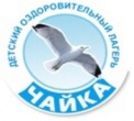 НОВОСТИ С ЛЕТНИХ ПЛОЩАДОК - ШКОЛА №45