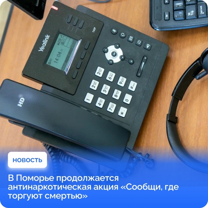 В Поморье проходит антинаркотическая акция «Сообщи, где торгуют смертью»